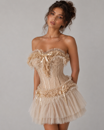 Candice mini dress in caramel satin caramel lace overlay | Color :camel (0)
